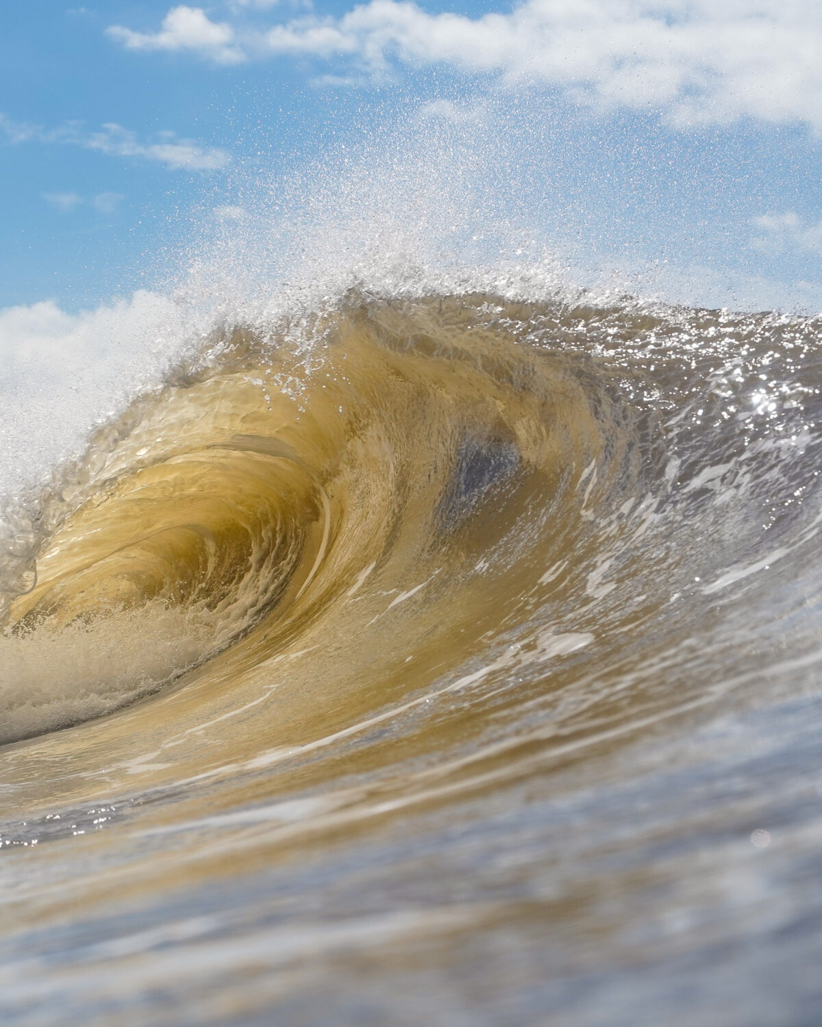 Categoría Surf