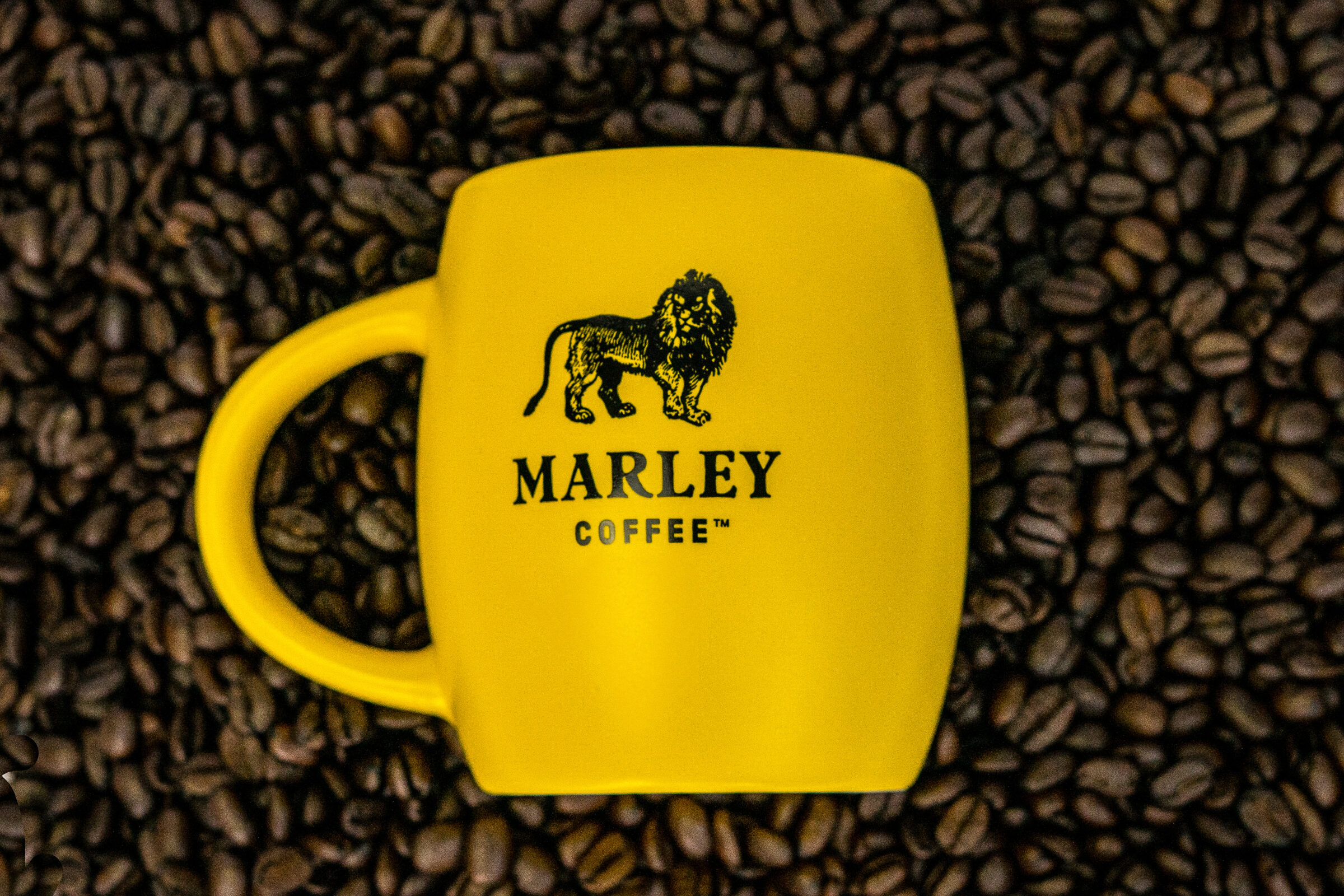 Hero de la categoría Marley Coffee