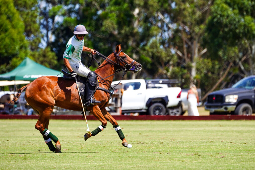 Polo